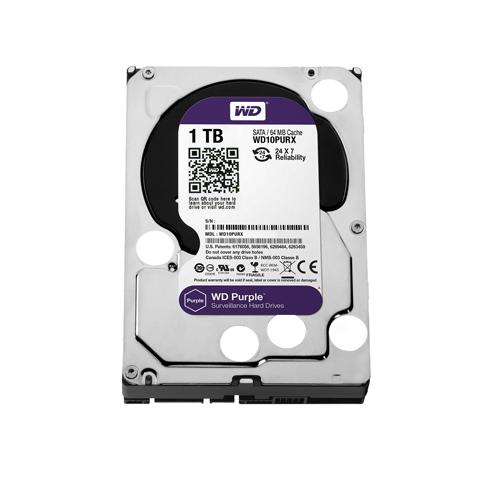 Western Digital Purple 1TB Surveillance Hard Drive price chennai, hyderabad, tamilandu, india